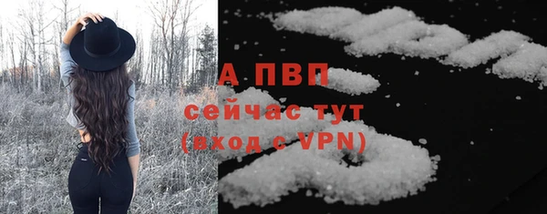 крисы Михайловск