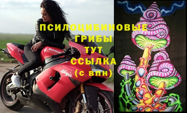 спиды Абдулино