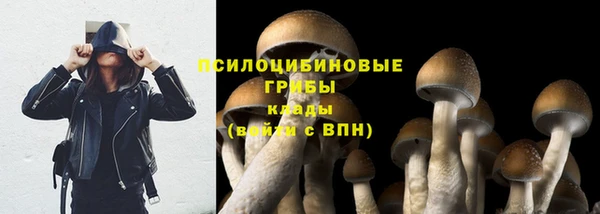 крисы Михайловск