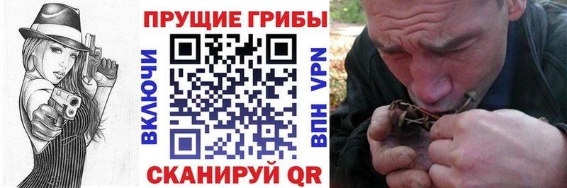 Псилоцибиновые грибы MAGIC MUSHROOMS наркотики Берёзовка